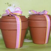 Garden Gift Set (Plant in Spring)